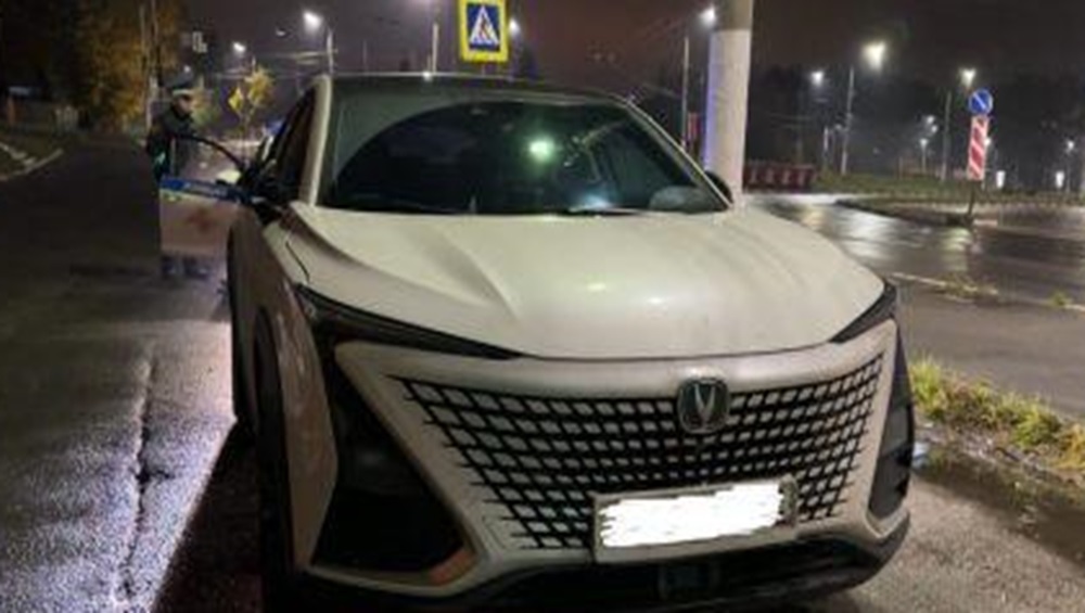 В Брянске сбежавший от ГАИ пьяный водитель спрятался в кустах