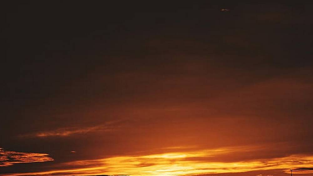 Зеленский пригрозил мраком приграничью: чего ждать брянцам