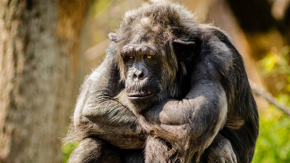 Зарплата − не менее 1000 долларов, но брянцы не идут на заводы