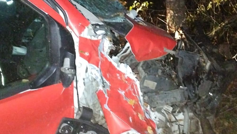 В Почепском районе юный водитель Ford на трассе протаранил дерево