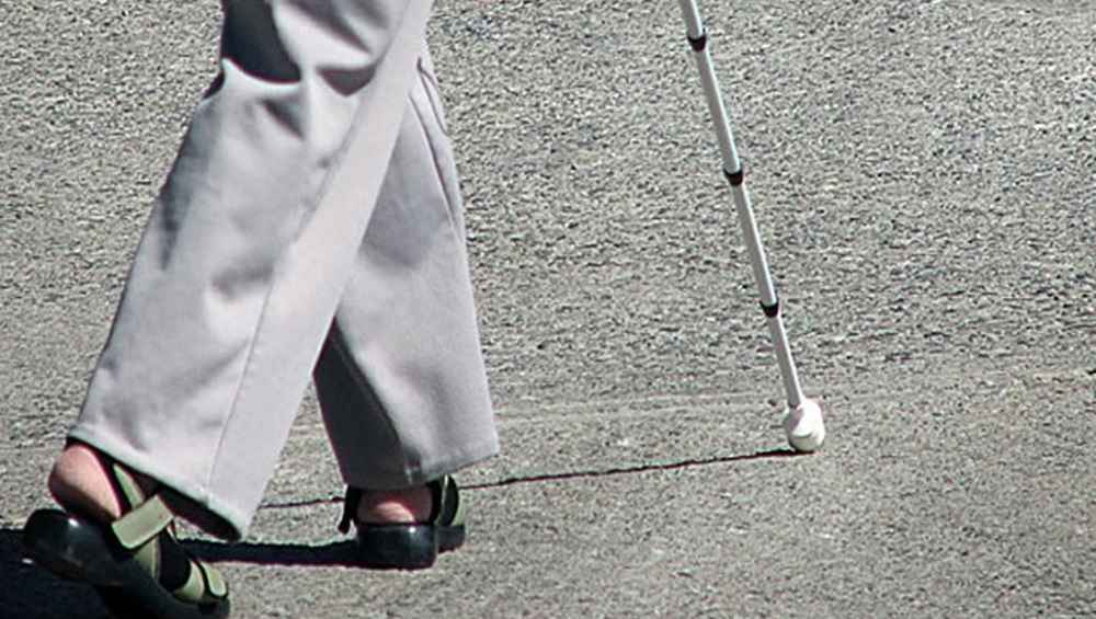 В Гордеевке Брянской области чиновники едва не оставили без жилья слепого брянца