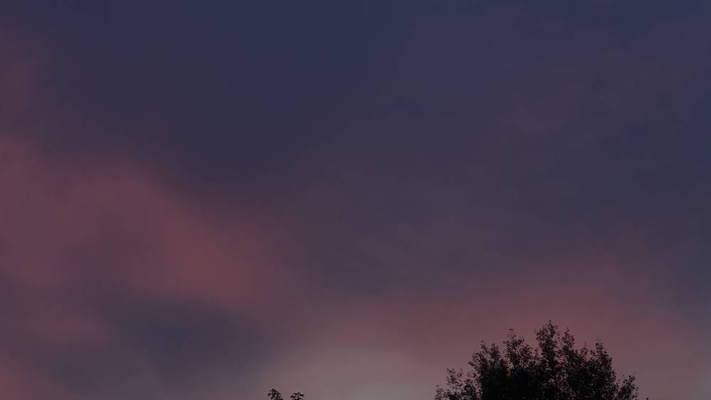 Под Навлей Брянской области длительное время стреляют