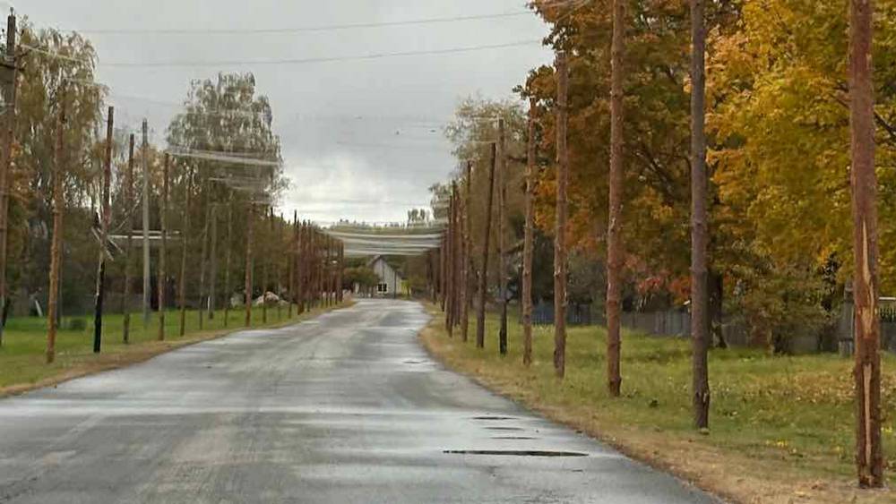 В брянском приграничье создали «коридоры жизни» для защиты от атак ВСУ