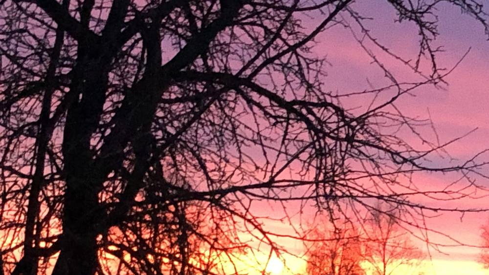 Брянский мэр сказал, куда нужно бежать во время ракетной атаки