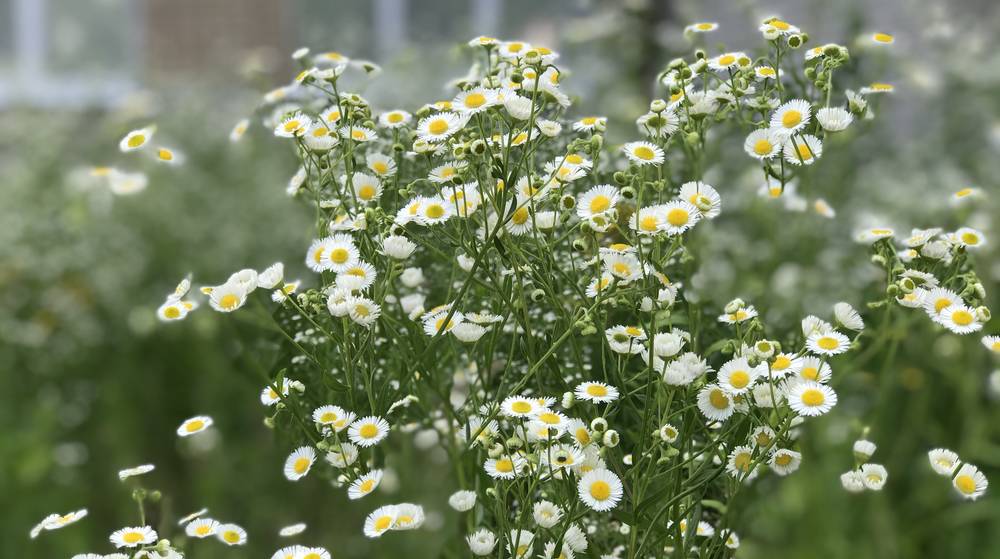 Примите искренние поздравления с профессиональным праздником!