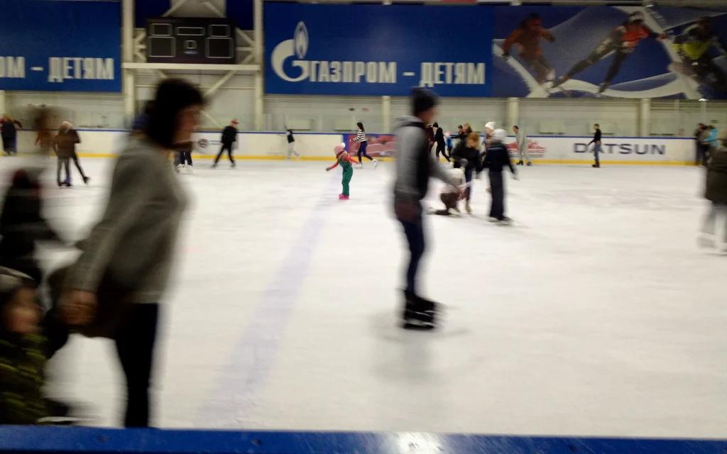 В Брянске ликвидировали общественную организацию «Фигуристы Брянска»