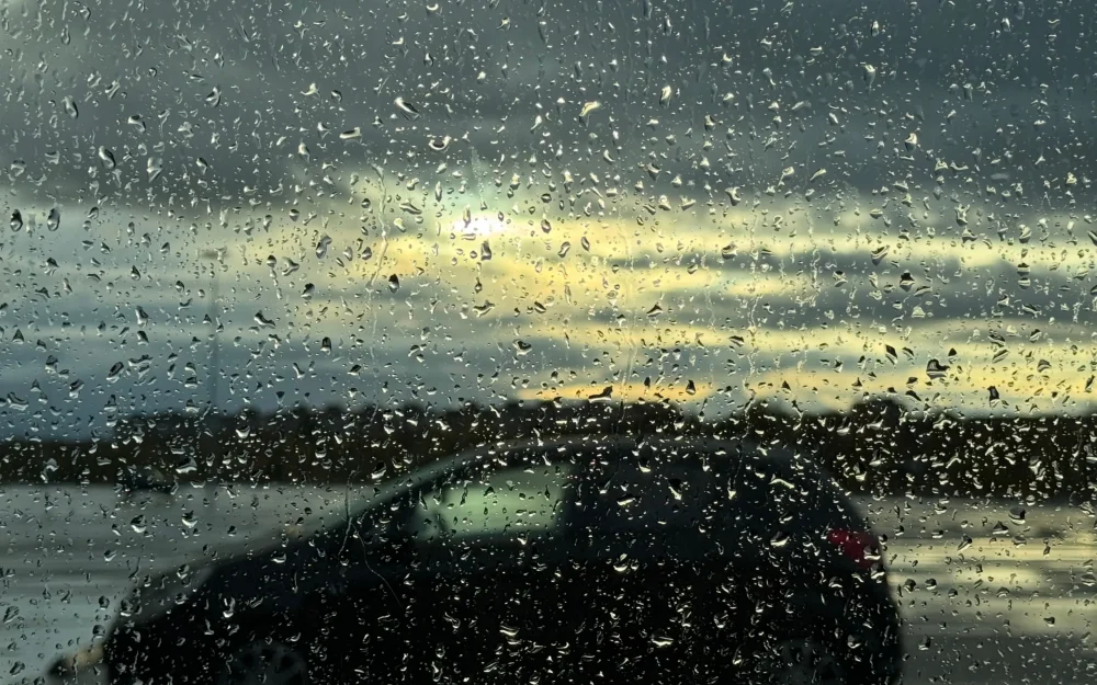 В Брянской области началось предзимье: стали известны причуды погоды