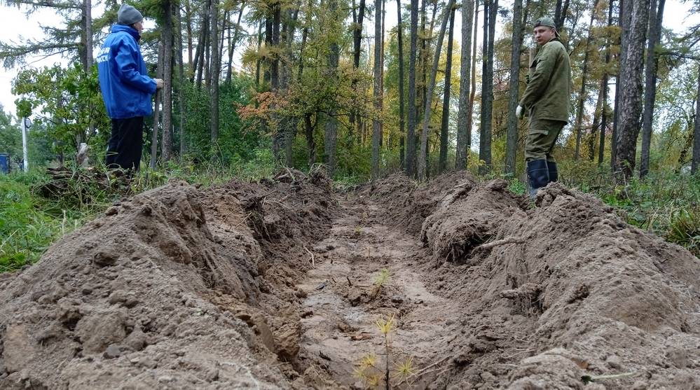 В исторической роще энтузиасты из Локтя посадили 250 лиственниц