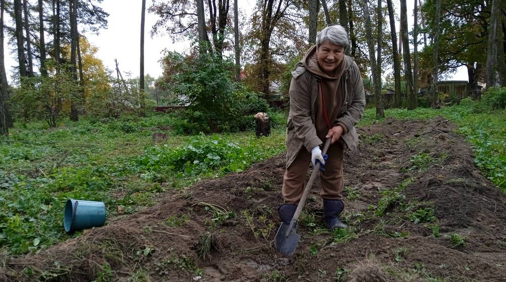 В исторической роще энтузиасты из Локтя посадили 250 лиственниц