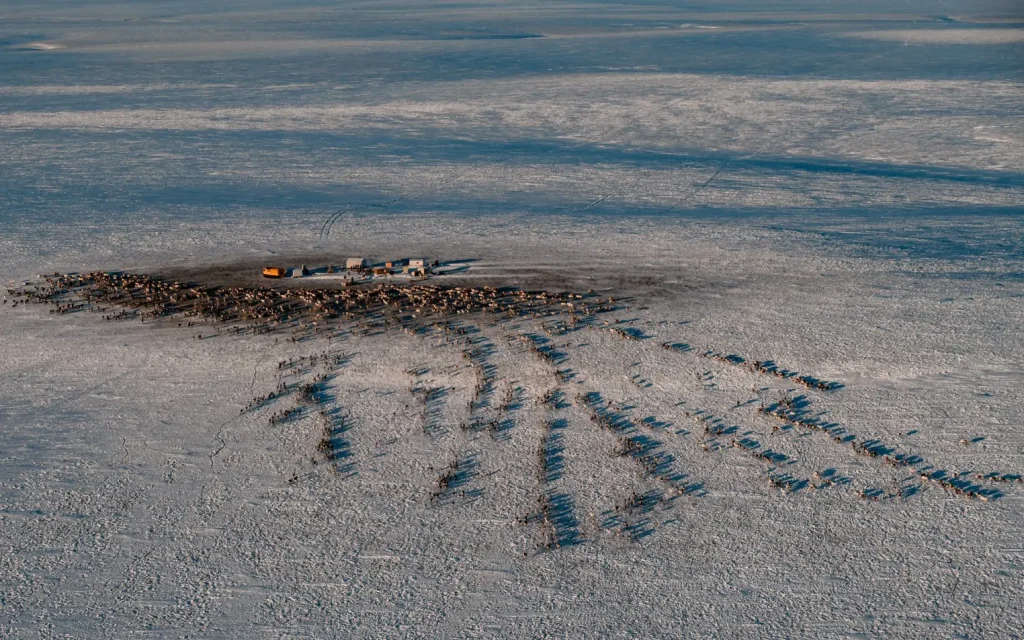 Вместе в цифровое будущее: стартует юбилейный конкурс «Ростелекома» для региональных ИТ-журналистов и блогеров