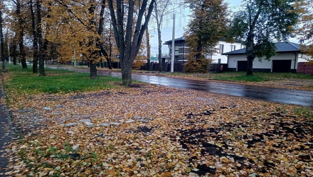 В Брянской области днём 16 октября пройдут дожди при 10 градусах тепла