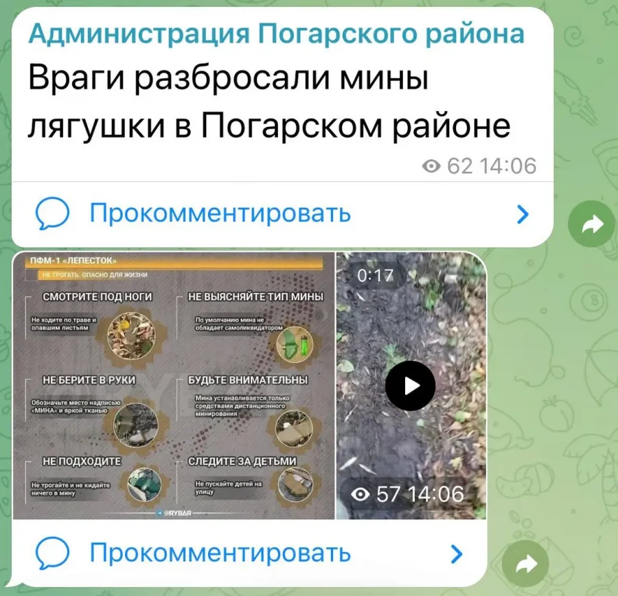 В Погарском районе Брянской области украинские боевики разбросали мины