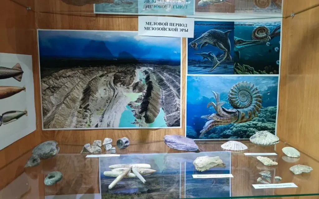 Фокинские цементники открыли музей древних окаменелостей прямо на заводе