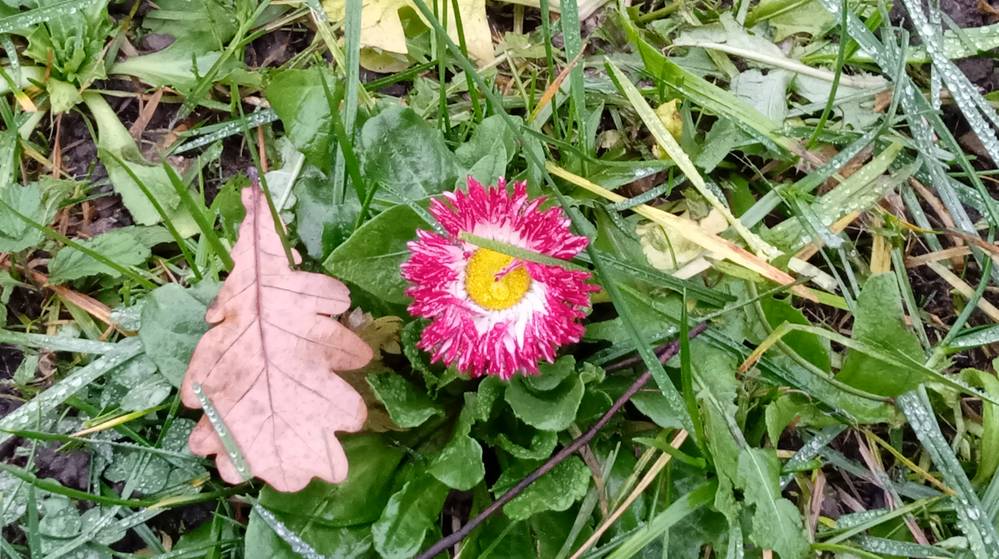 Гидрометцентр представил неуютный прогноз погоды на следующую неделю