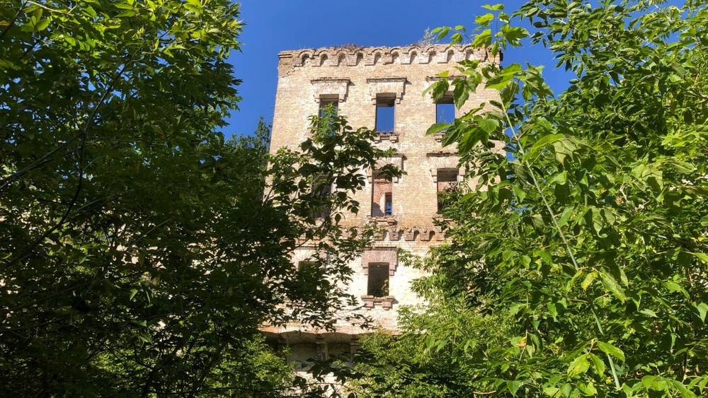 Брянский депутат Валуев сообщил, что «пришельцев» будут уничтожать