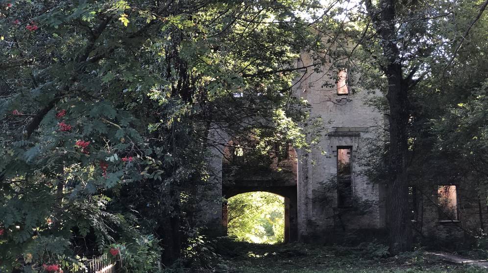 В сахарном брянском поселке открыли лицо старинной усадьбы княгини
