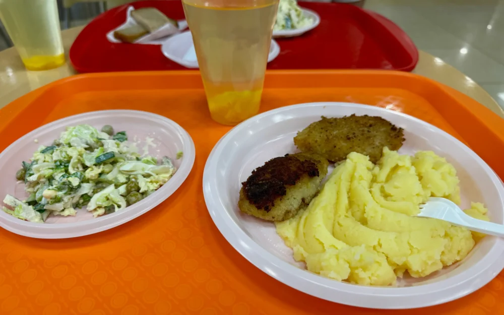 В Брянской области возбудили уголовные дела после проверок качества питания