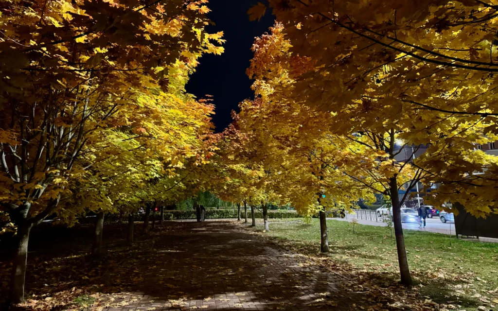 Брянских школьников предупредили об опасных игрушках из ниоткуда