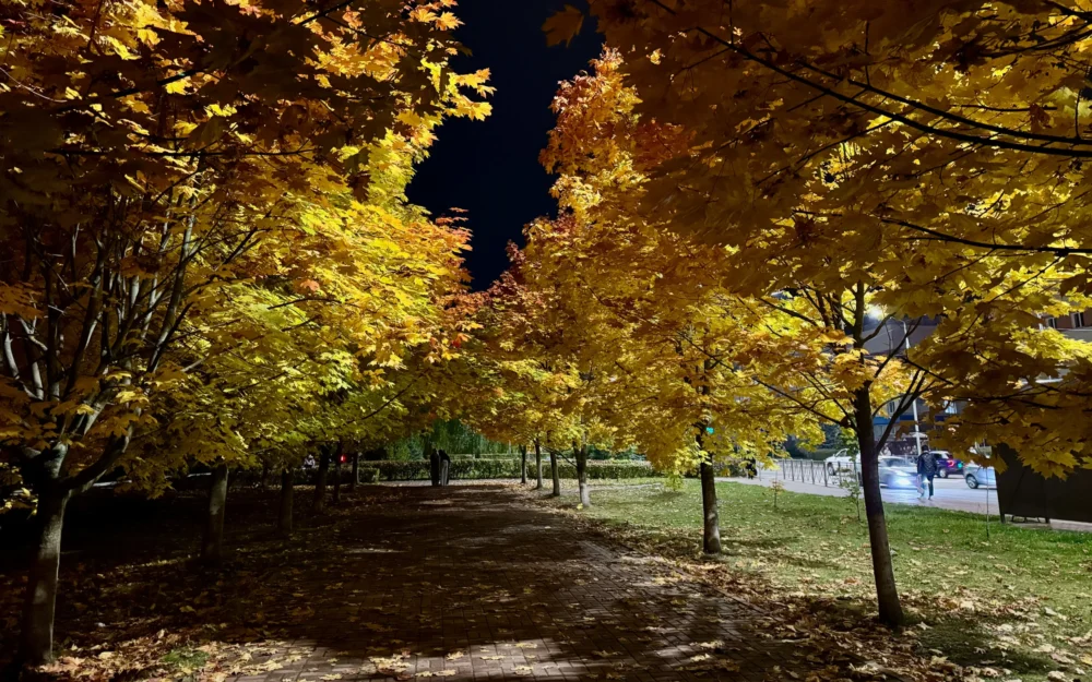 Брянских школьников предупредили об опасных игрушках из ниоткуда