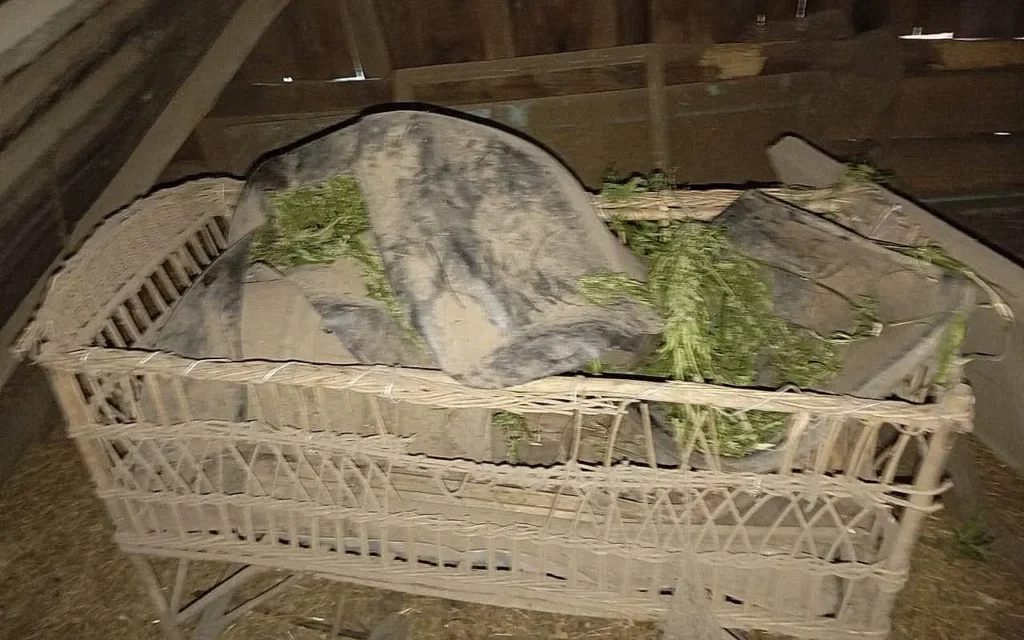 Жителя Брянской области арестовали за 200 граммов конопли