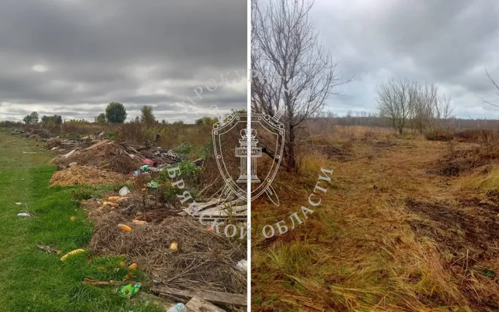 В Брянской области по требованию прокуратуры ликвидировали огромную свалку