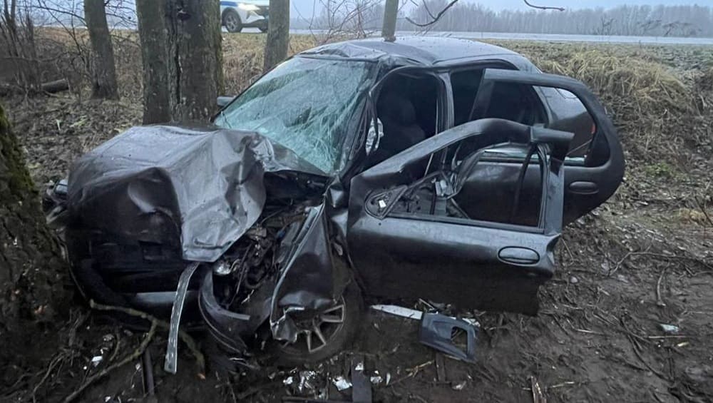 Под Дубровкой пьяный водитель Fiat врезался в дерево и оказался в больнице