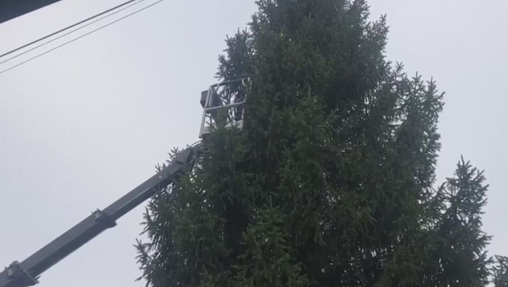 В Круглом сквере Брянска установили главную новогоднюю ёлку города