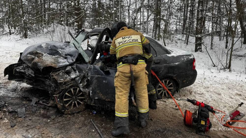 ДТП с чудовищными последствиями произошло на брянской трассе