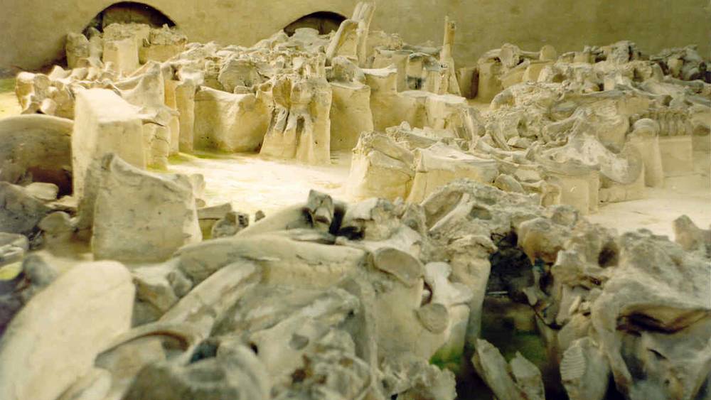 Брянская деревня из костей мамонта предстала в новом свете после открытия ученых