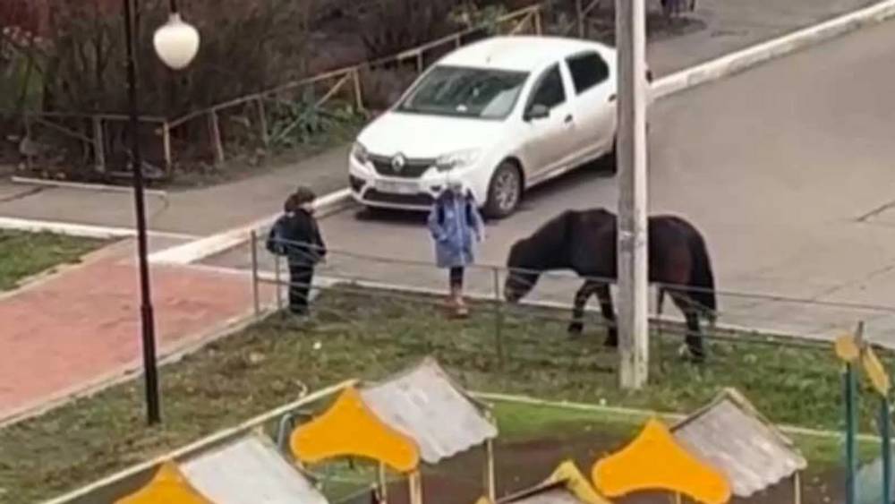 СК занялся случаем со сбитой лошадью девочкой в Брянске на детской площадке