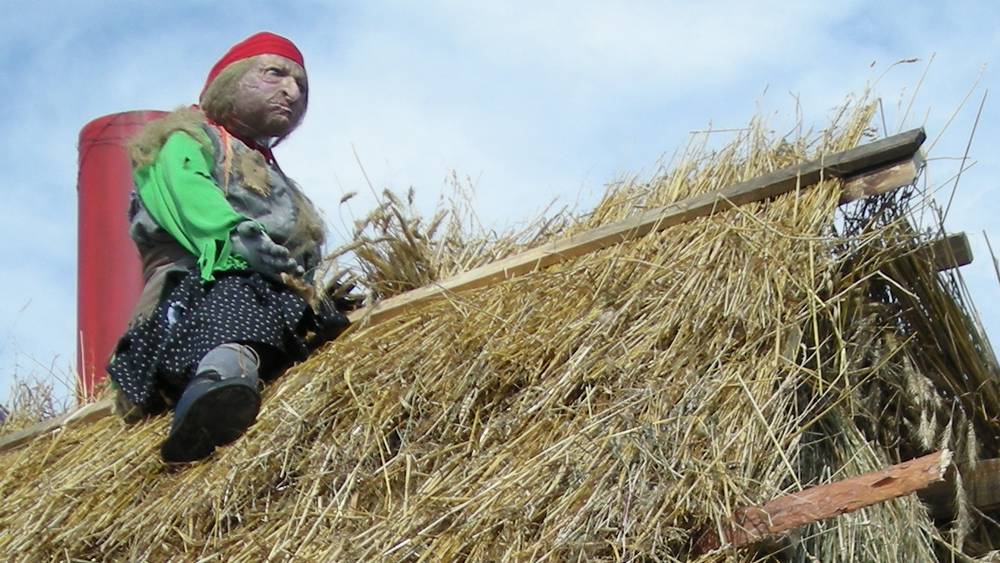 Самый «правдивый» брянский госсайт сообщил о страшном снижении цен