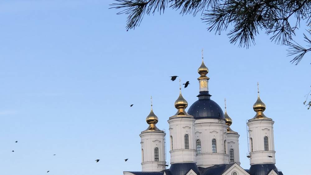 Брянцы не смогут поверить в мирный договор с нацистами после слов вурдалака