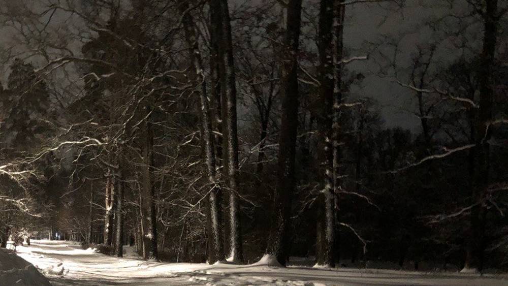 В новогоднюю ночь в Брянской области похолодает до 14 градусов мороза