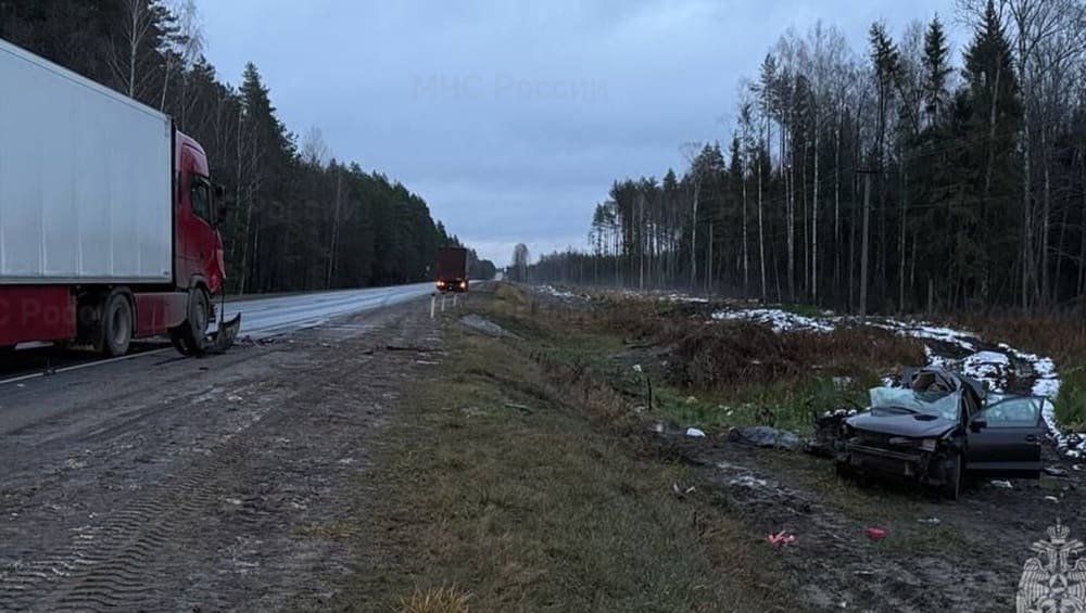 Под Брянском погиб водитель попавшего под грузовик легкового автомобиля.
