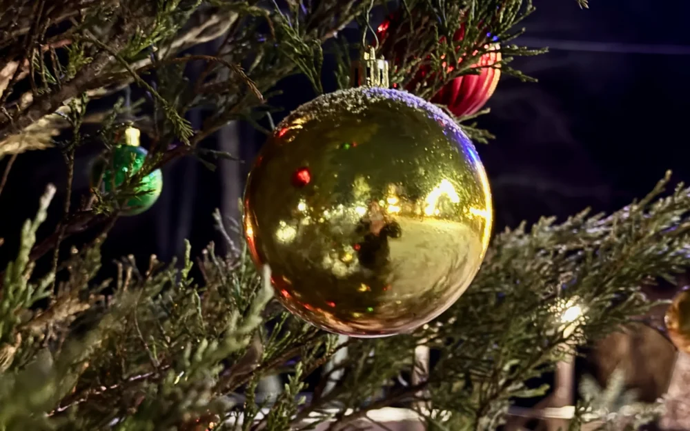 В российском приграничье отменят празднование Нового года