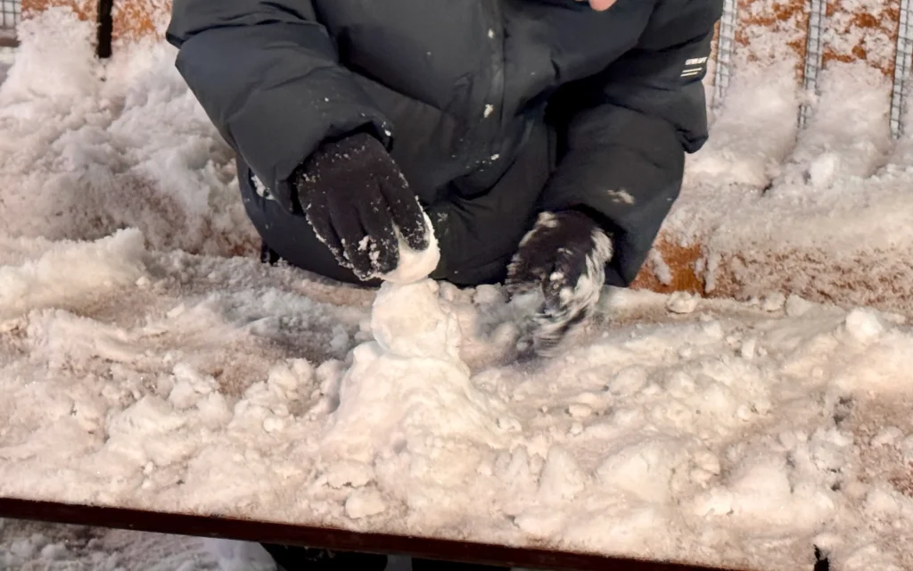 Брянскую область начало заметать снегом