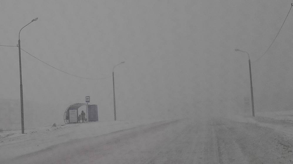 Жителей Брянской области предупредили о снегопадах и метели вечером 27 декабря