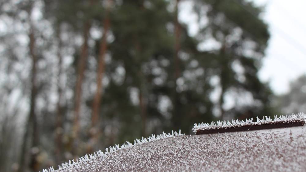 Вильфанд отобрал новогодний снег у брянского синоптика Тишковца
