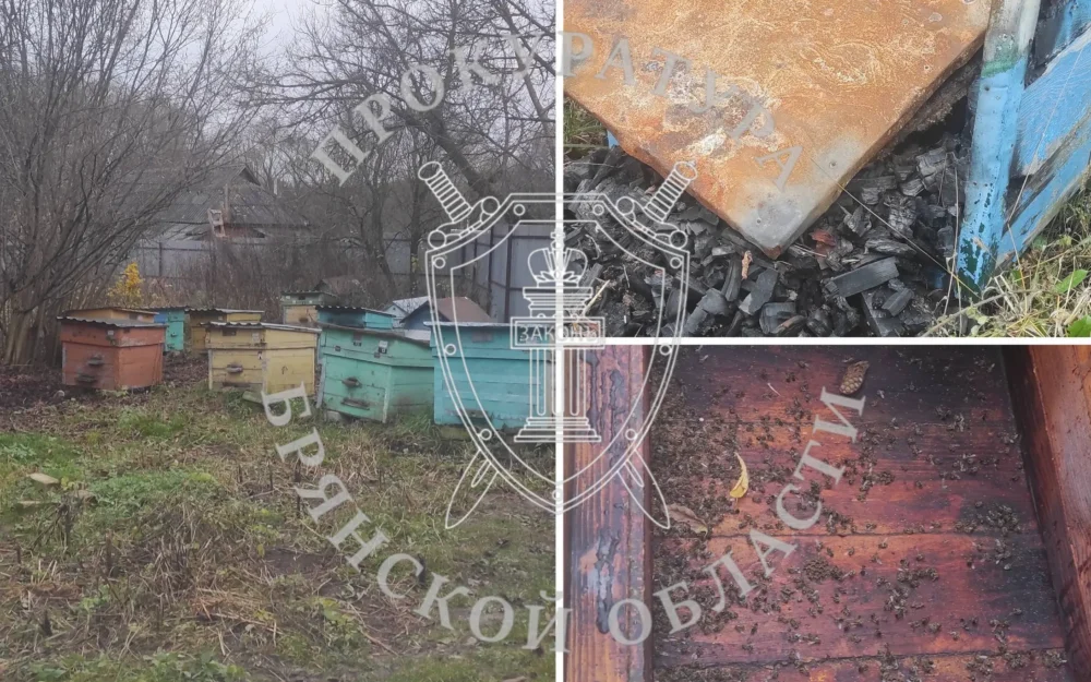 В Брянской области отдали под суд спалившую 8 пчелиных ульев женщину