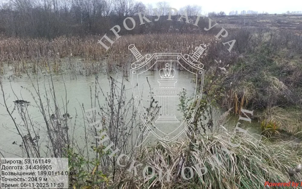 В селе под Брянском после иска прокурора восстановят разрушенные очистные