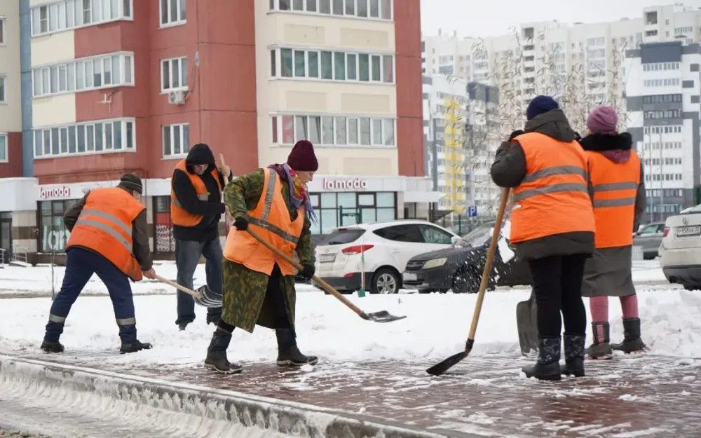 С улиц Брянска вывезли почти 440 тонн снега после сильного снегопада