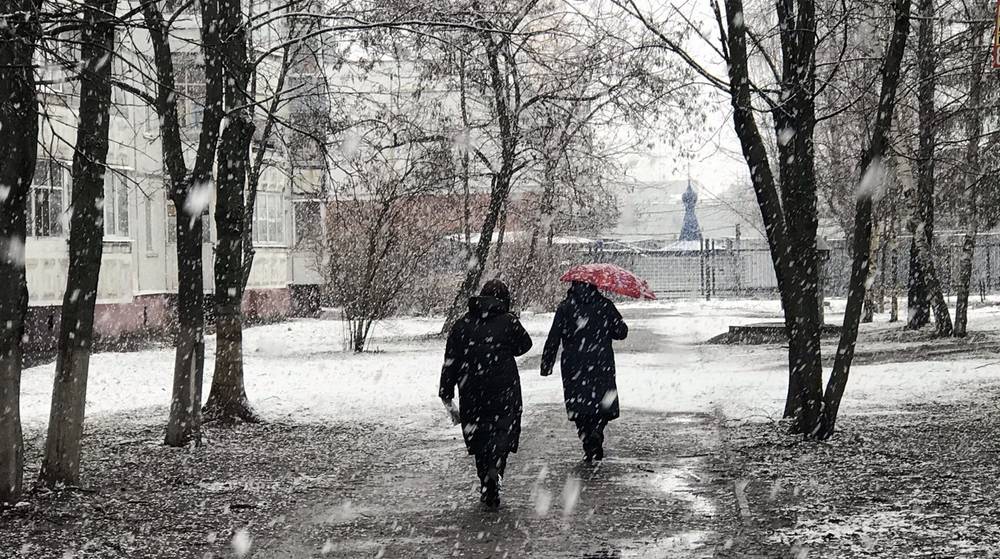 В Брянской области 12 декабря ожидается дождь со снегом при 6 градусах тепла
