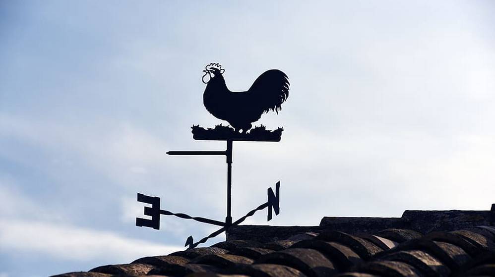 Жителей Брянской области предупредили об ураганном ветре 13 декабря