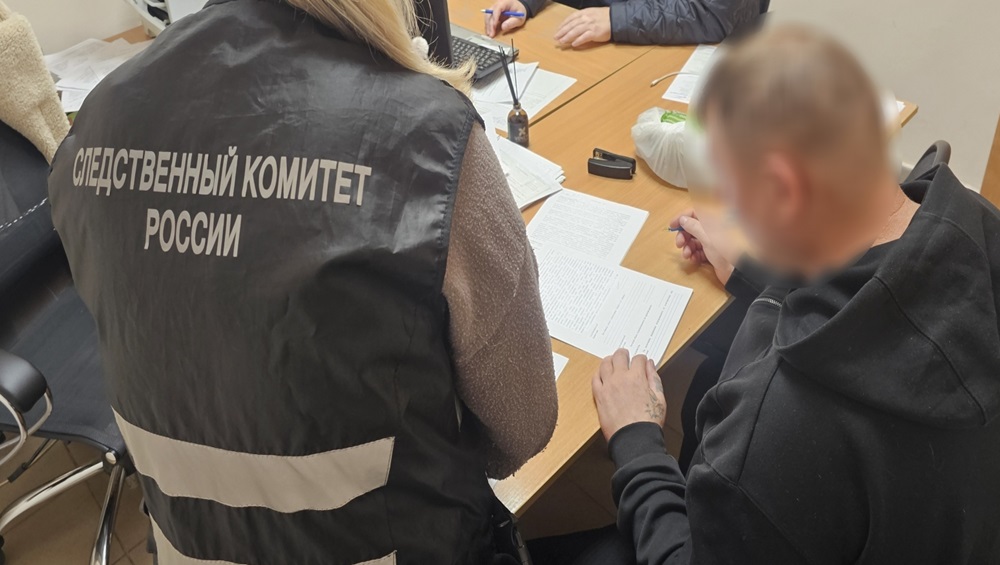 В Брасовском районе брянец ответит за убийство обидчика отца веткой дерева