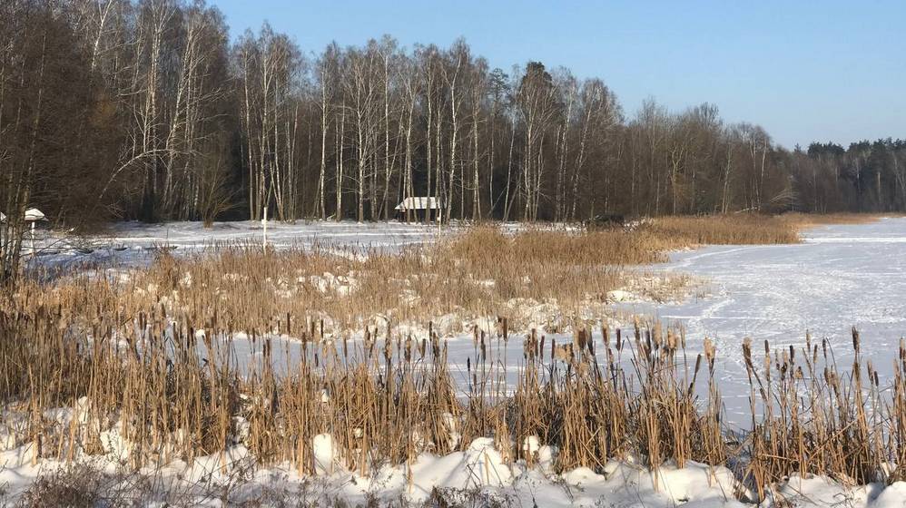 Брянцев предупредили о длительной морозной атаке