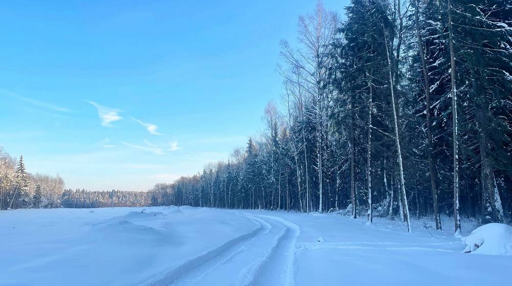 Синоптики предупредили о 33-градусном морозе в Брянской области