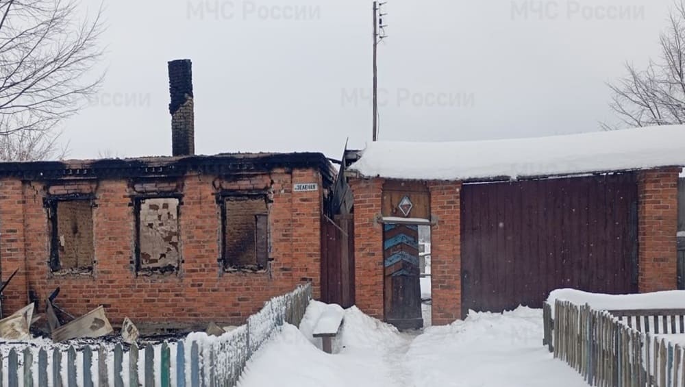 Управление МЧС сообщило о пострадавших при пожаре в Гордеевском районе