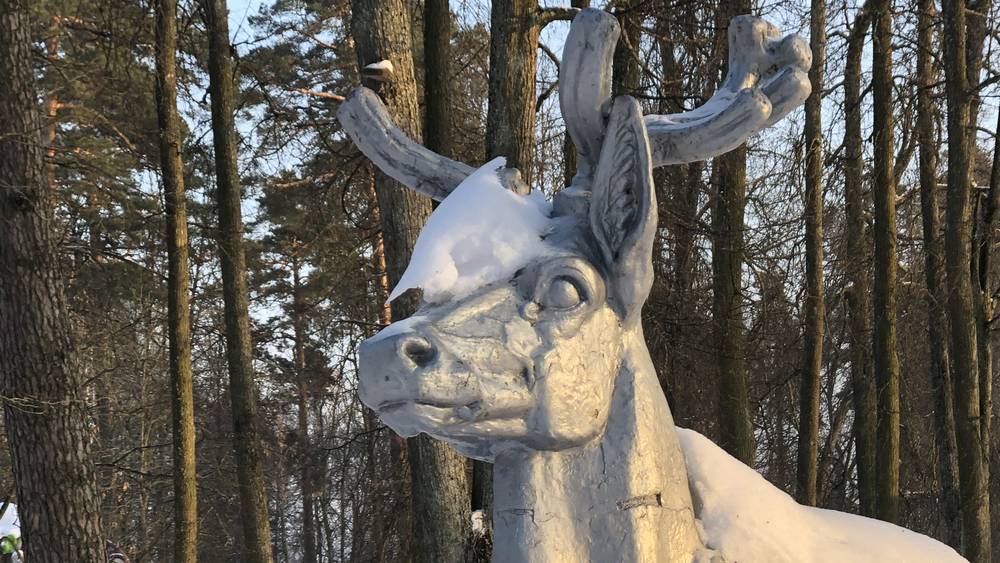 Стало известно, что после потепления в Брянской области усилятся морозы