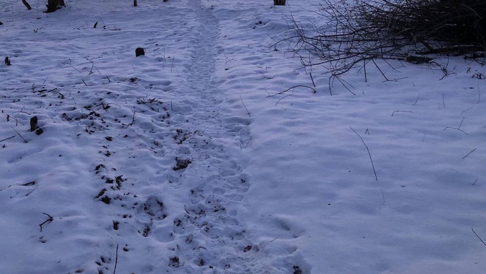 Стало известно, когда в Брянской области потеплеет до 1 градуса