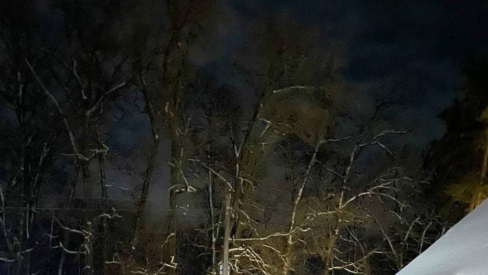 Самую холодную ночь зимы придется пережить брянцам